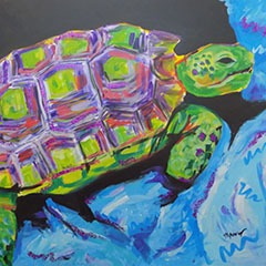Desert Tortoise