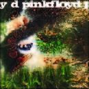 A Saucerful Of Secrets
