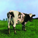 Atom Heart Mother