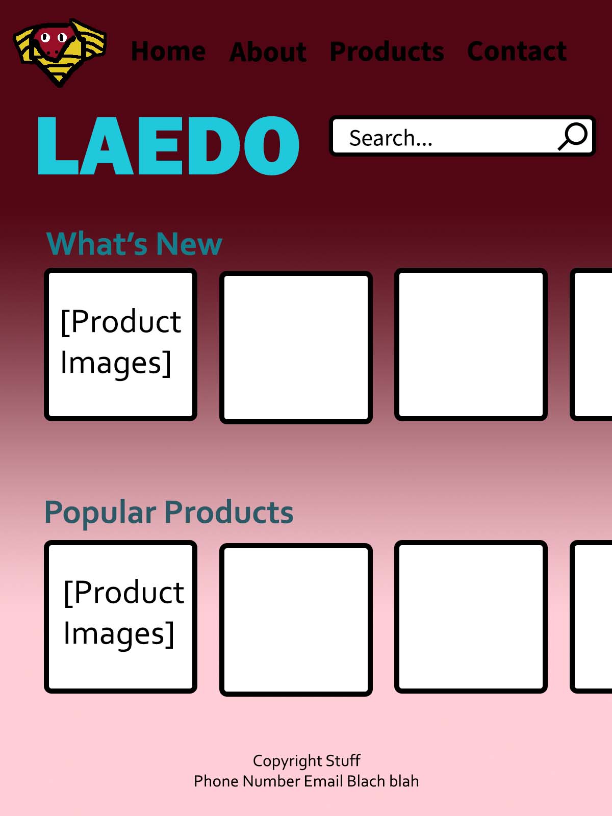 LAEDO website concept image