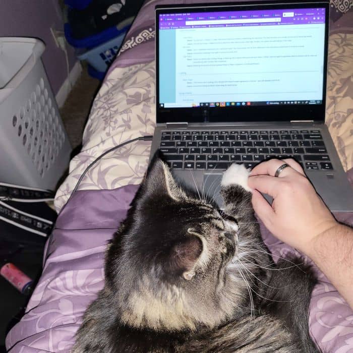 Cat Stopping Hand