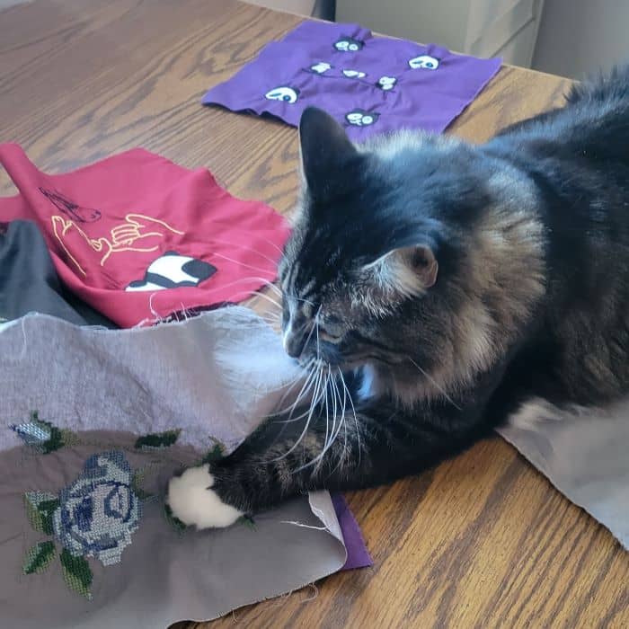 Cat with Fabric