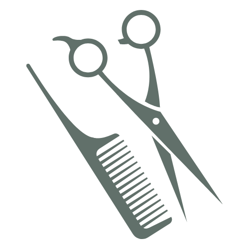servicesicon
