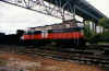 trackside16.jpg (54755 bytes)