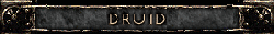 Druid