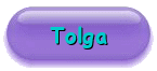 alles �ber Tolga