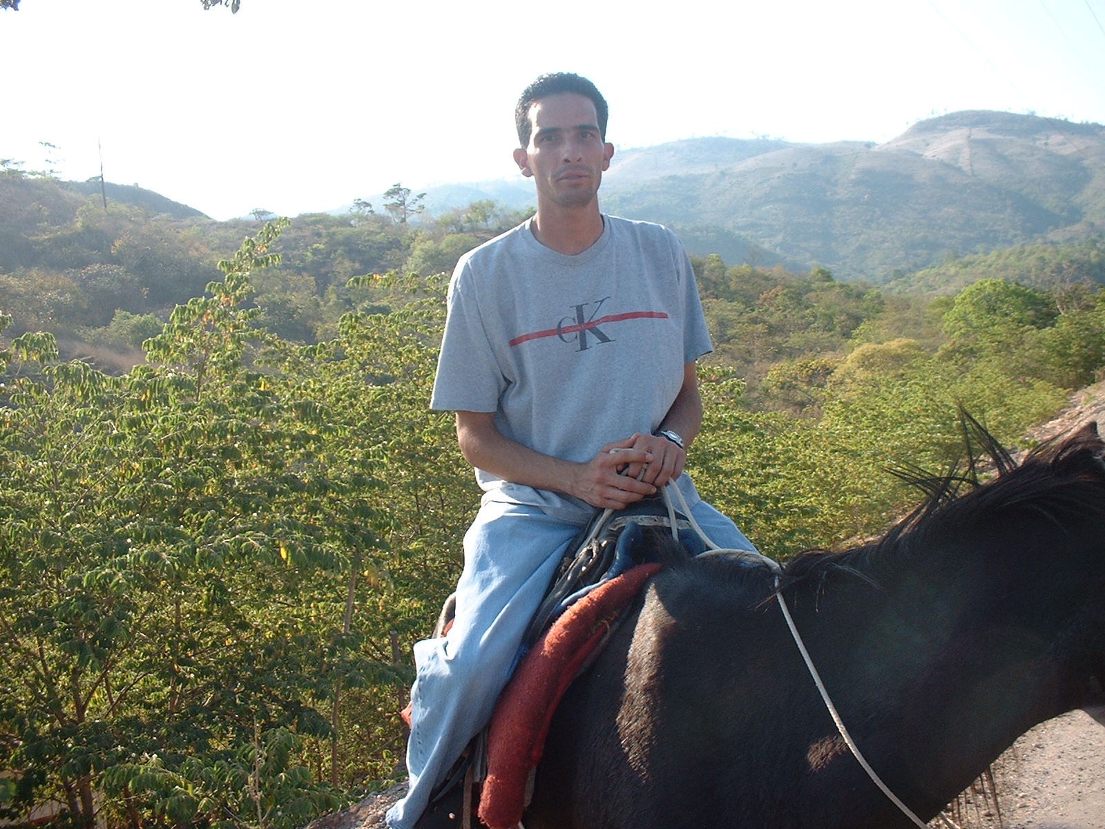 Horseback in Honduras