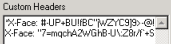 Custom Headers