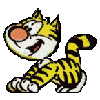  Animated - Excited Kitten 
