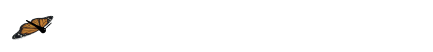  Animated - Hovering Butterfly 