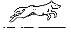  Running Wolf 