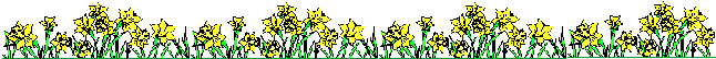 Line of yellow flowers 