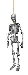  Hanging skelton 
