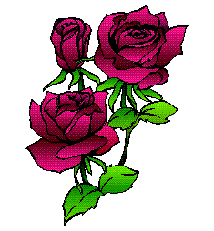  These are 'Roses',
 and that's for sure. 