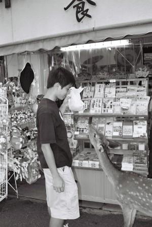 Adrian vs. Deer (Kyoto)