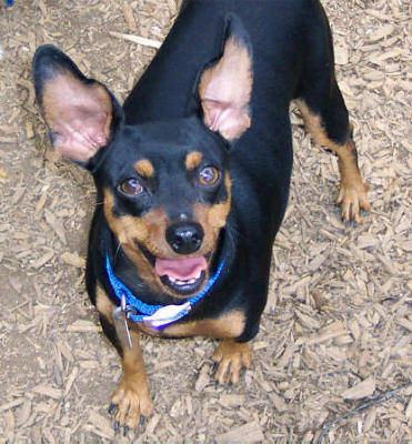 My Loving "Son" Max...