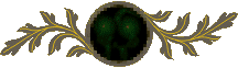 Forest Haunt