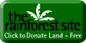 Save The Rainforest by clicking here