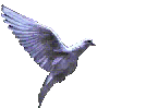 doveani.gif (31067 bytes)