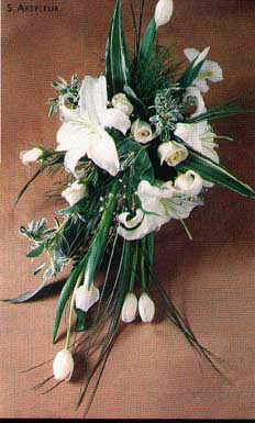 tulipanes y casablanca