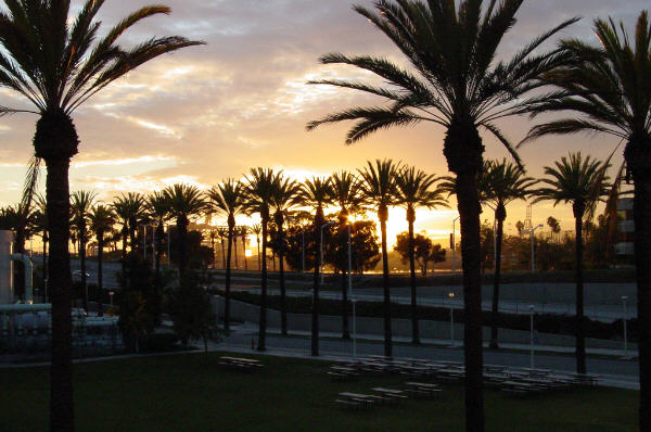 sunset