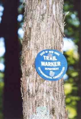 Blue Ledge On The Hudson Trail