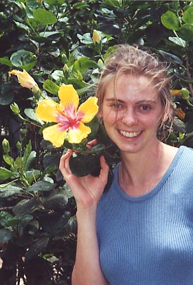 Luana Kai Yellow Hibiscus