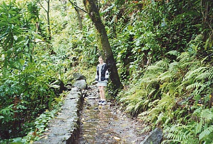 R2Hana Haipuaena Falls