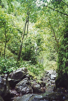 R2Hana Punalau Falls