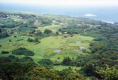 R2Hana Wailua