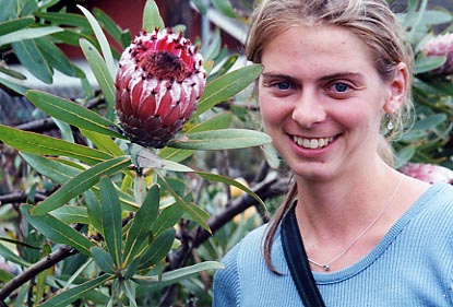 Kula Protea Farm