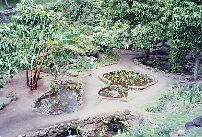 Iao Valley State Park