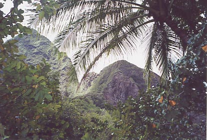 Iao Valley