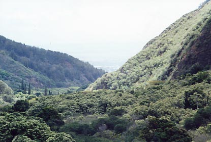 Iao Valley