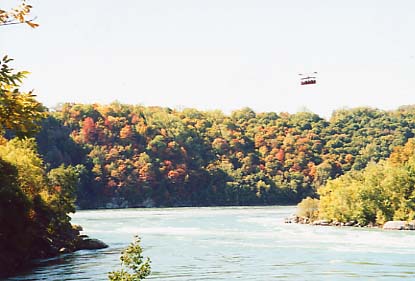 Fall at Niagara Gorge