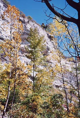 Niagara Gorge Cliffs