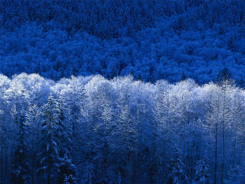 Nikko's beauty...!!!