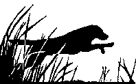 water entry