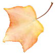 gumdrop leaf