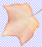 opacity reduced
