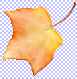 leaf layer overlaid
