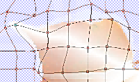 mesh warp tool