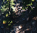 piece of scene