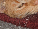 pixel resize