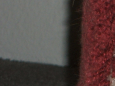 piece of photo