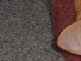 piece of photo
