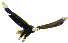 an eagle