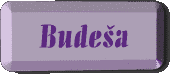 Budesa Family Link
