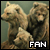 Bears