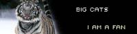 Big Cats